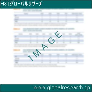 グローバルリサーチ調査レポートのイメージ